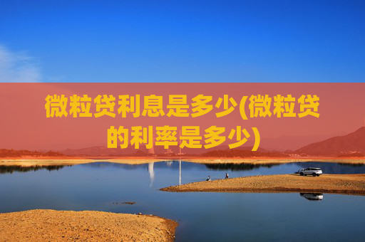 微粒贷利息是多少(微粒贷的利率是多少)