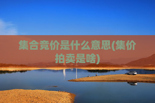 集合竞价是什么意思(集价拍卖是啥)