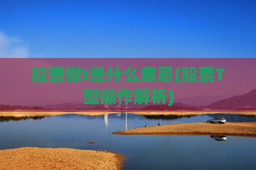 股票做t是什么意思(股票T型操作解析)