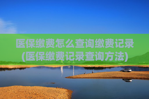医保缴费怎么查询缴费记录(医保缴费记录查询方法)