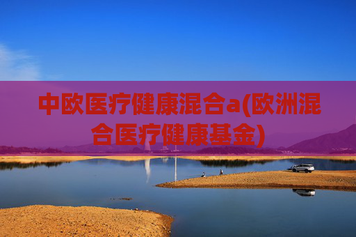 中欧医疗健康混合a(欧洲混合医疗健康基金)