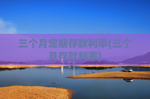 三个月定期存款利率(三个月存款利率)