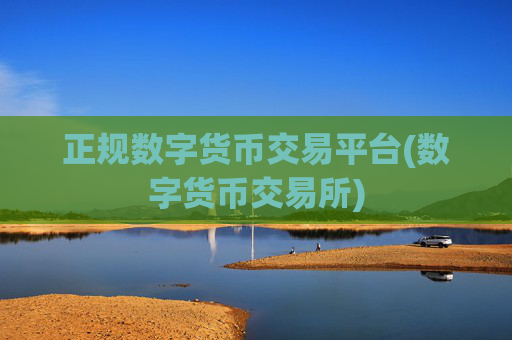 正规数字货币交易平台(数字货币交易所)