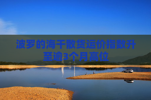 波罗的海干散货运价指数升至逾3个月高位
