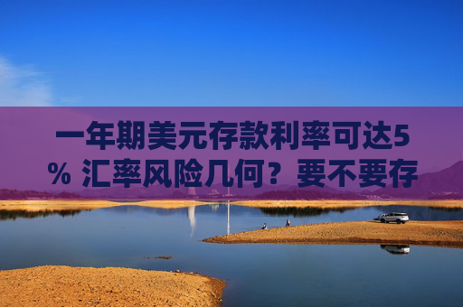 一年期美元存款利率可达5% 汇率风险几何？要不要存？