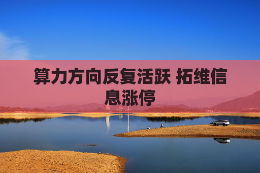 算力方向反复活跃 拓维信息涨停