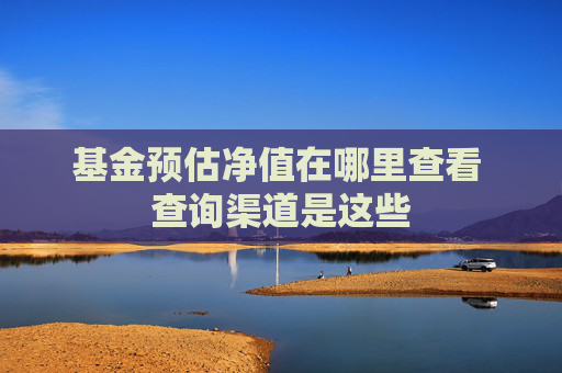 基金预估净值在哪里查看 查询渠道是这些