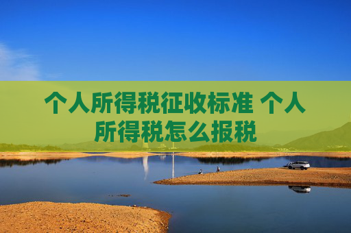 个人所得税征收标准 个人所得税怎么报税