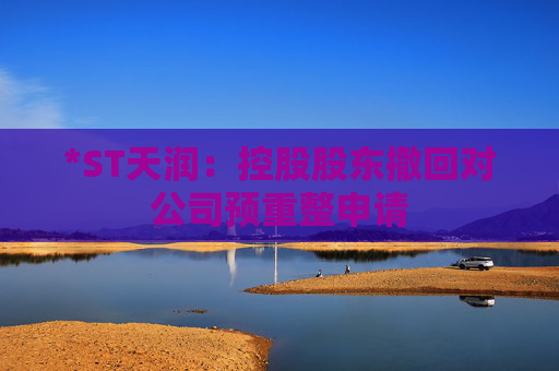 *ST天润：控股股东撤回对公司预重整申请