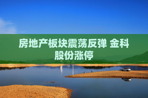 房地产板块震荡反弹 金科股份涨停