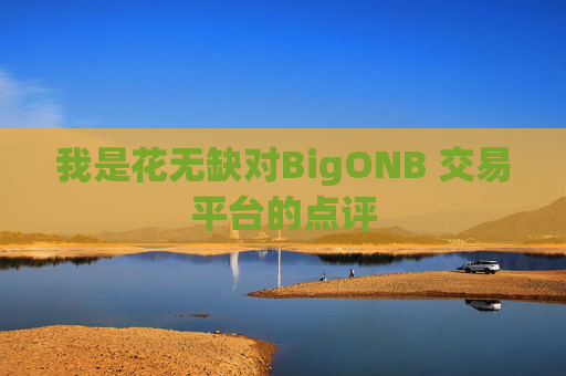 我是花无缺对BigONB 交易平台的点评