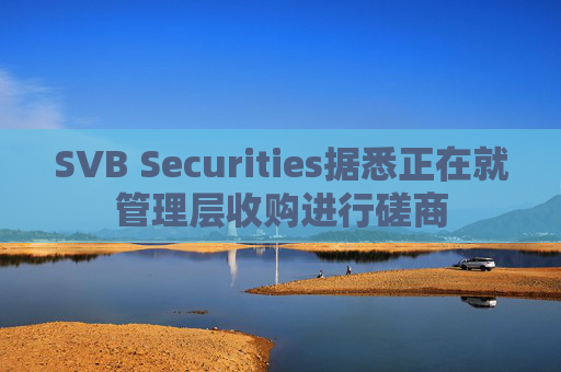 SVB Securities据悉正在就管理层收购进行磋商