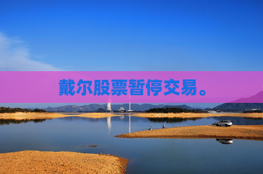 戴尔股票暂停交易。