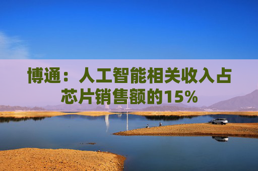 博通：人工智能相关收入占芯片销售额的15%