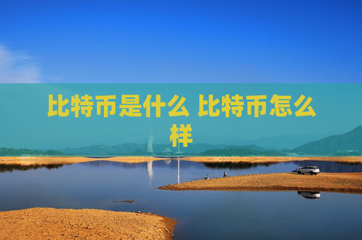 比特币是什么 比特币怎么样