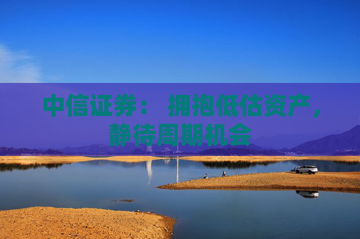 中信证券： 拥抱低估资产，静待周期机会