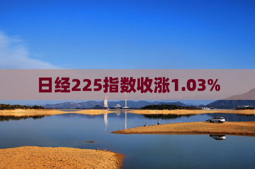 日经225指数收涨1.03%