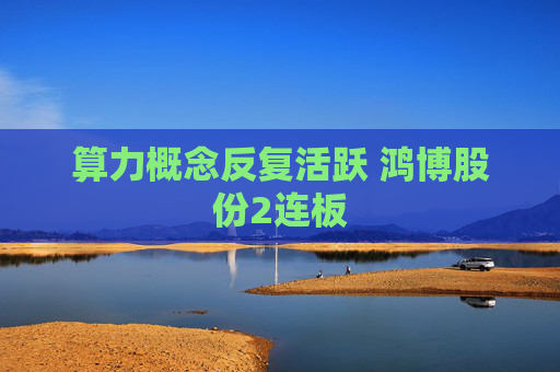 算力概念反复活跃 鸿博股份2连板