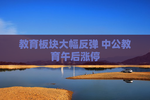 教育板块大幅反弹 中公教育午后涨停