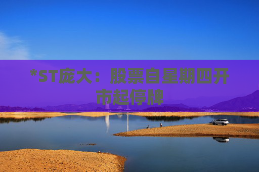 *ST庞大：股票自星期四开市起停牌