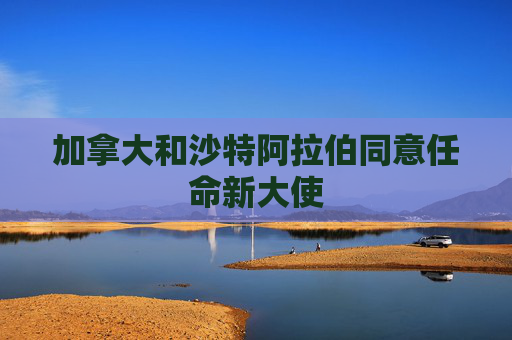 加拿大和沙特阿拉伯同意任命新大使