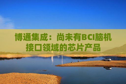 博通集成：尚未有BCI脑机接口领域的芯片产品