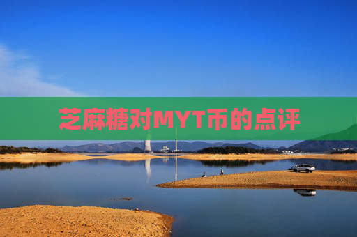 芝麻糖对MYT币的点评