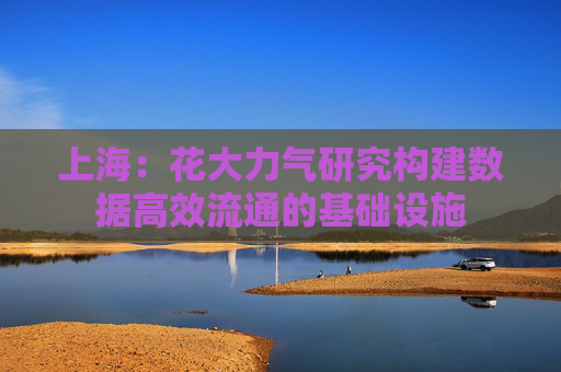 上海：花大力气研究构建数据高效流通的基础设施