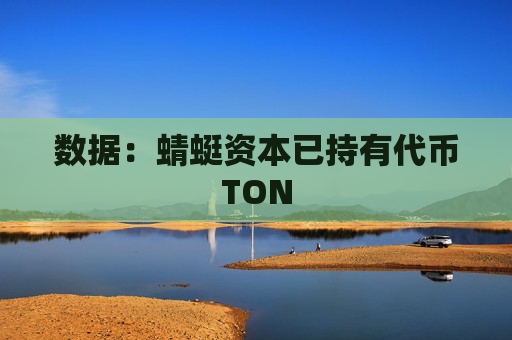 数据：蜻蜓资本已持有代币TON