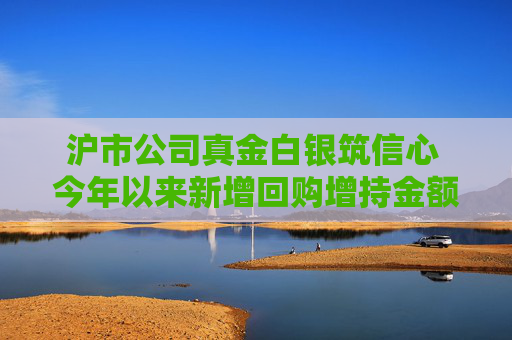 沪市公司真金白银筑信心 今年以来新增回购增持金额约237亿元
