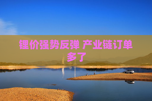 锂价强势反弹 产业链订单多了