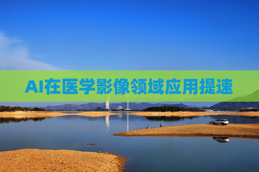 AI在医学影像领域应用提速