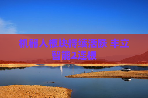 机器人板块持续活跃 丰立智能2连板
