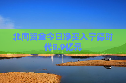 北向资金今日净买入宁德时代8.9亿元