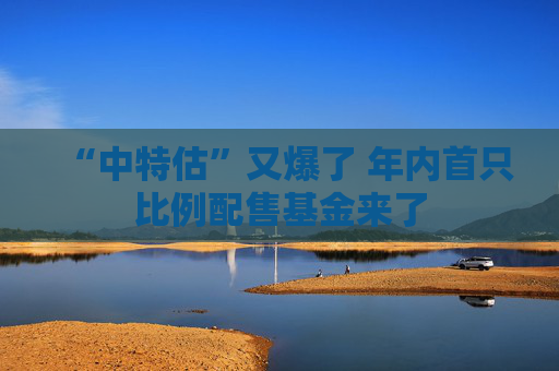 “中特估”又爆了 年内首只比例配售基金来了