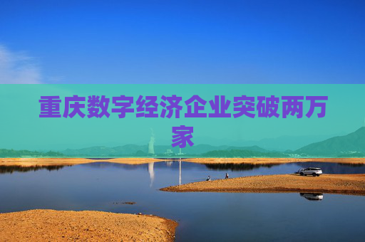 重庆数字经济企业突破两万家