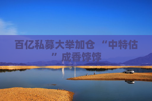 百亿私募大举加仓 “中特估”成香饽饽
