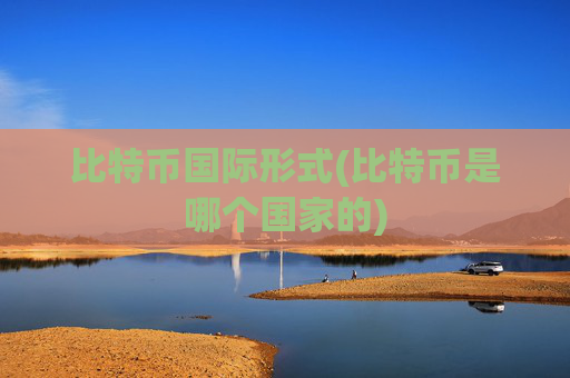 比特币国际形式(比特币是哪个国家的)