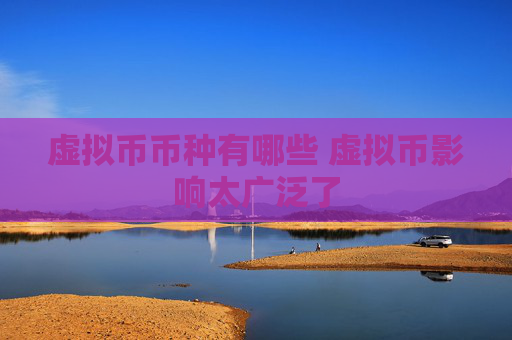 虚拟币币种有哪些 虚拟币影响太广泛了
