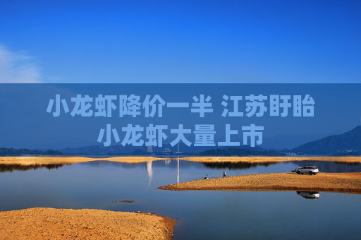 小龙虾降价一半 江苏盱眙小龙虾大量上市