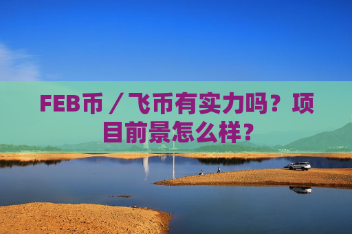 FEB币／飞币有实力吗？项目前景怎么样？