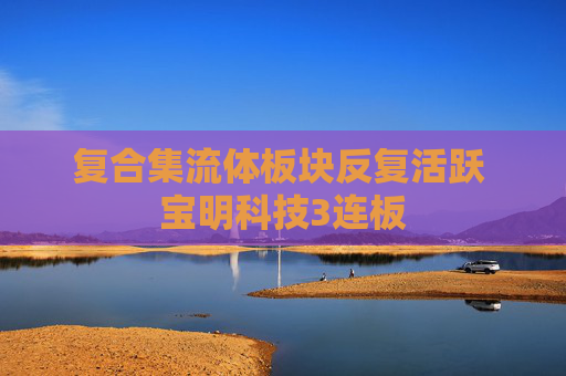 复合集流体板块反复活跃 宝明科技3连板