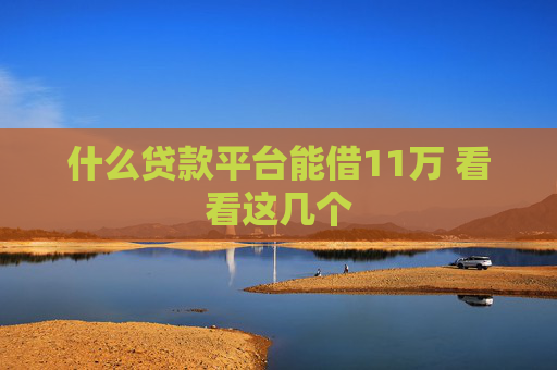 什么贷款平台能借11万 看看这几个