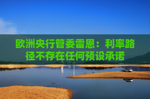 欧洲央行管委雷恩：利率路径不存在任何预设承诺