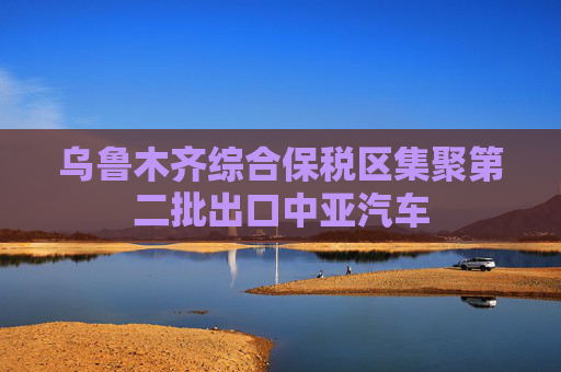 乌鲁木齐综合保税区集聚第二批出口中亚汽车