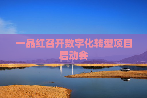 一品红召开数字化转型项目启动会