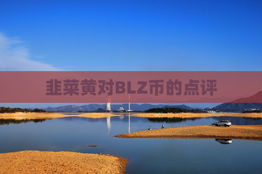 韭菜黄对BLZ币的点评