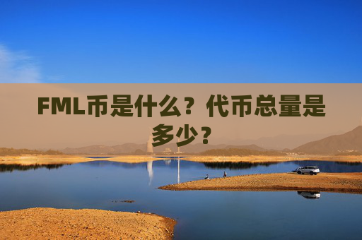 FML币是什么？代币总量是多少？