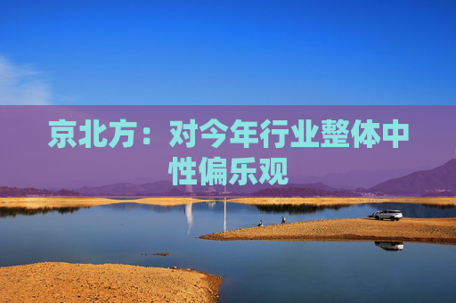 京北方：对今年行业整体中性偏乐观
