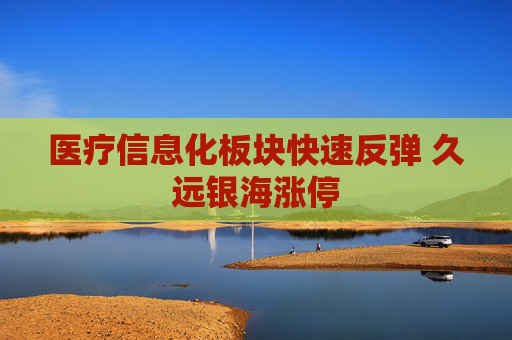 医疗信息化板块快速反弹 久远银海涨停
